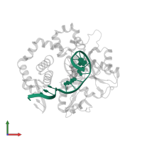 5'-D(*CP*CP*GP*AP*CP*GP*GP*CP*GP*CP*AP*TP*CP*AP*GP*C)-3' in PDB entry 4klf, assembly 1, front view.