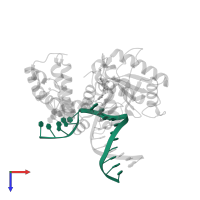 5'-D(*CP*CP*GP*AP*CP*GP*GP*CP*GP*CP*AP*TP*CP*AP*GP*C)-3' in PDB entry 4klf, assembly 1, top view.