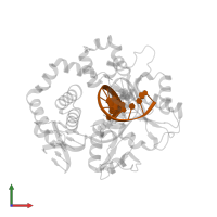 5'-D(*GP*CP*TP*GP*AP*TP*GP*CP*GP*CP*C)-3' in PDB entry 4klf, assembly 1, front view.