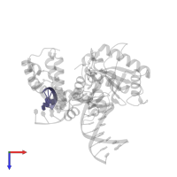 5'-D(P*GP*TP*CP*GP*G)-3' in PDB entry 4klg, assembly 1, top view.