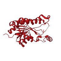 The deposited structure of PDB entry 4kms contains 2 copies of CATH domain 3.40.50.720 (Rossmann fold) in 3-oxoacyl-[acyl-carrier-protein] reductase FabG. Showing 1 copy in chain A.