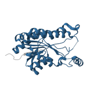 The deposited structure of PDB entry 4kms contains 2 copies of Pfam domain PF13561 (Enoyl-(Acyl carrier protein) reductase) in 3-oxoacyl-[acyl-carrier-protein] reductase FabG. Showing 1 copy in chain A.