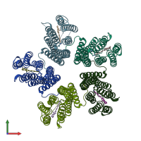 PDB entry 4knf coloured by chain, front view.
