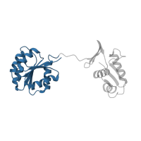 The deposited structure of PDB entry 4kny contains 2 copies of CATH domain 3.40.50.2300 (Rossmann fold) in KDP operon transcriptional regulatory protein KdpE. Showing 1 copy in chain B.
