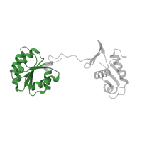 The deposited structure of PDB entry 4kny contains 2 copies of Pfam domain PF00072 (Response regulator receiver domain) in KDP operon transcriptional regulatory protein KdpE. Showing 1 copy in chain B.