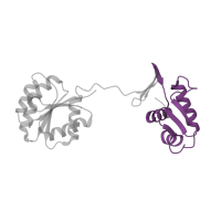 The deposited structure of PDB entry 4kny contains 2 copies of Pfam domain PF00486 (Transcriptional regulatory protein, C terminal) in KDP operon transcriptional regulatory protein KdpE. Showing 1 copy in chain B.