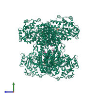 Homo tetrameric assembly 1 of PDB entry 4kq2 coloured by chemically distinct molecules, side view.