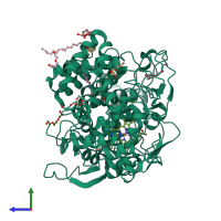 PDB entry 4kvl coloured by chain, side view.