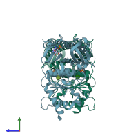 PDB entry 4kxp coloured by chain, side view.