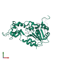SirtT1 75 kDa fragment in PDB entry 4kxq, assembly 1, front view.