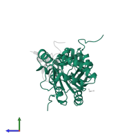 SirtT1 75 kDa fragment in PDB entry 4kxq, assembly 1, side view.