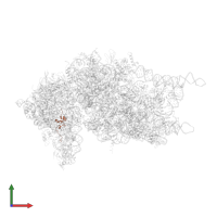 Small ribosomal subunit protein uS14 in PDB entry 4kzx, assembly 1, front view.