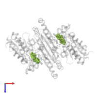 NADP NICOTINAMIDE-ADENINE-DINUCLEOTIDE PHOSPHATE in PDB entry 4l06, assembly 1, top view.