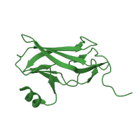 The deposited structure of PDB entry 4l0y contains 1 copy of CATH domain 2.60.40.720 (Immunoglobulin-like) in Runt-related transcription factor 1. Showing 1 copy in chain A.