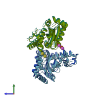 PDB entry 4l2d coloured by chain, side view.