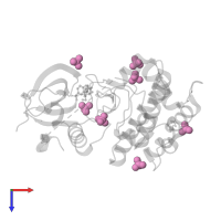 SULFATE ION in PDB entry 4l42, assembly 1, top view.