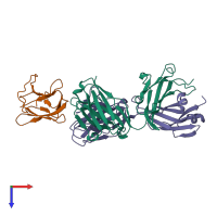 PDB entry 4l5f coloured by chain, top view.