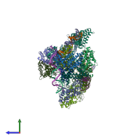PDB entry 4l62 coloured by chain, side view.