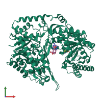 PDB entry 4l6h coloured by chain, front view.