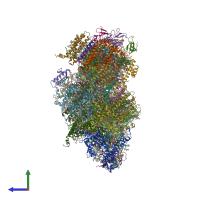 PDB entry 4l6v coloured by chain, side view.