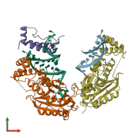 PDB entry 4l8r coloured by chain, front view.