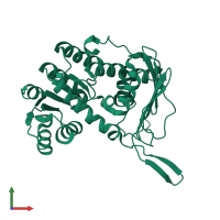 PDB entry 4l9r coloured by chain, front view.