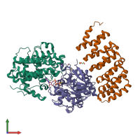 PDB entry 4lac coloured by chain, front view.