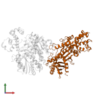 Hexokinase-4 in PDB entry 4lc9, assembly 1, front view.