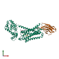 PDB entry 4lde coloured by chain, front view.