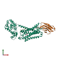 PDB entry 4ldo coloured by chain, front view.