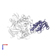 Ubiquitin-conjugating enzyme E2 D2 in PDB entry 4ldt, assembly 1, top view.