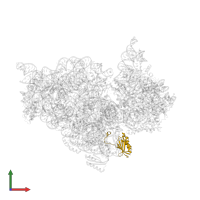 Small ribosomal subunit protein uS11 in PDB entry 4lf6, assembly 1, front view.