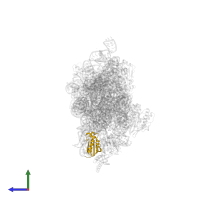 Small ribosomal subunit protein uS11 in PDB entry 4lf6, assembly 1, side view.