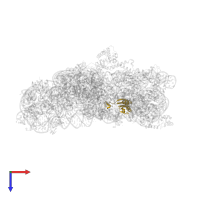 Small ribosomal subunit protein uS11 in PDB entry 4lf6, assembly 1, top view.