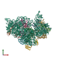 PDB entry 4lf8 coloured by chain, front view.