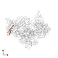 Small ribosomal subunit protein bS20 in PDB entry 4lf9, assembly 1, front view.