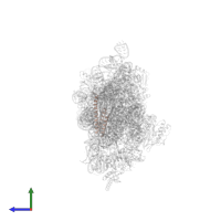 Small ribosomal subunit protein bS20 in PDB entry 4lf9, assembly 1, side view.