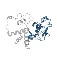 The deposited structure of PDB entry 4lfa contains 1 copy of CATH domain 3.10.290.10 (Structural Genomics Hypothetical 15.5 Kd Protein In mrcA-pckA Intergenic Region; Chain A) in Small ribosomal subunit protein uS4. Showing 1 copy in chain D.