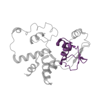 The deposited structure of PDB entry 4lfa contains 1 copy of Pfam domain PF01479 (S4 domain) in Small ribosomal subunit protein uS4. Showing 1 copy in chain D.