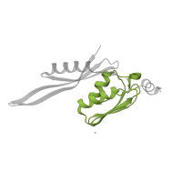 The deposited structure of PDB entry 4lfa contains 1 copy of CATH domain 3.30.230.10 (Ribosomal Protein S5; domain 2) in Small ribosomal subunit protein uS5. Showing 1 copy in chain E.