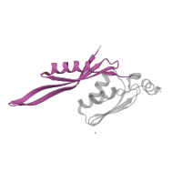 The deposited structure of PDB entry 4lfa contains 1 copy of Pfam domain PF00333 (Ribosomal protein S5, N-terminal domain) in Small ribosomal subunit protein uS5. Showing 1 copy in chain E.