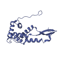 The deposited structure of PDB entry 4lfa contains 1 copy of CATH domain 1.10.455.10 (Ribosomal Protein S7) in Small ribosomal subunit protein uS7. Showing 1 copy in chain G.