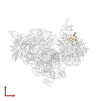 Small ribosomal subunit protein uS19 in PDB entry 4lfa, assembly 1, front view.