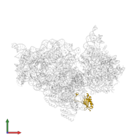 Small ribosomal subunit protein uS11 in PDB entry 4lfb, assembly 1, front view.