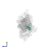 Small ribosomal subunit protein uS9 in PDB entry 4lfb, assembly 1, side view.