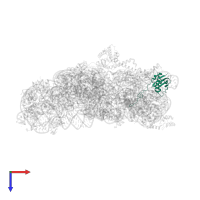 Small ribosomal subunit protein uS9 in PDB entry 4lfb, assembly 1, top view.
