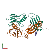 PDB entry 4lfh coloured by chain, front view.