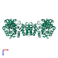 Thymidine phosphorylase in PDB entry 4lhm, assembly 1, top view.