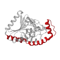 The deposited structure of PDB entry 4lk5 contains 2 copies of CATH domain 1.10.12.10 (Lyase 2-enoyl-coa Hydratase; Chain  A, domain 2) in EchA11. Showing 1 copy in chain C.