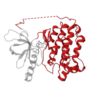 The deposited structure of PDB entry 4ll0 contains 2 copies of CATH domain 1.10.510.10 (Transferase(Phosphotransferase); domain 1) in Epidermal growth factor receptor. Showing 1 copy in chain A.